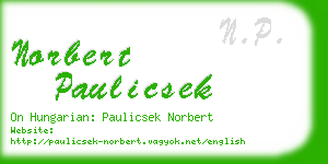 norbert paulicsek business card